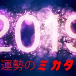 開運｜新365日誕生日占い.com [無料占い]　2019年の運勢
